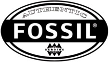 Fossil Careers