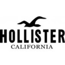 Hollister Careers
